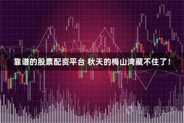 靠谱的股票配资平台 秋天的梅山湾藏不住了!