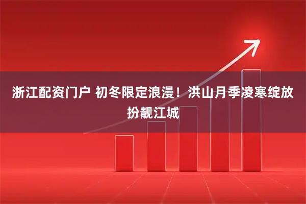 浙江配资门户 初冬限定浪漫!洪山月季凌寒绽放扮靓江城