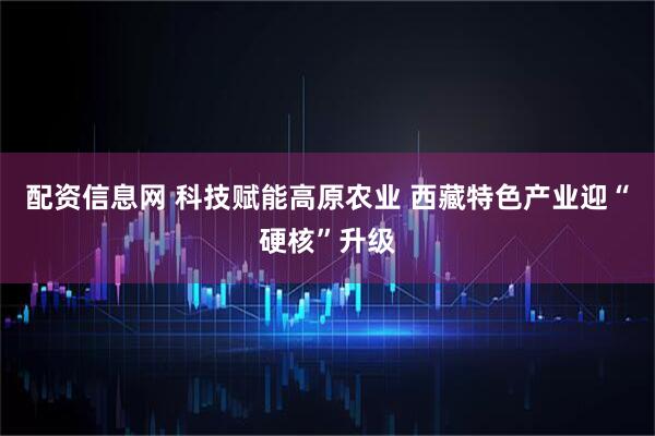 配资信息网 科技赋能高原农业 西藏特色产业迎“硬核”升级